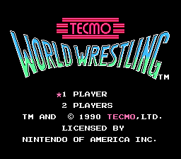 How long is Tecmo World Cup '93?