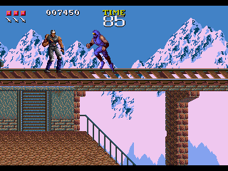 Ninja Gaiden - Screenshot 4/5